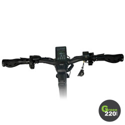 GREEN220.it » Monopattino elettrico Teverun Fighter 11+
