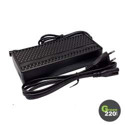 GREEN220.it » Caricabatterie per il monopattino Hiley Tiger 10 Pro