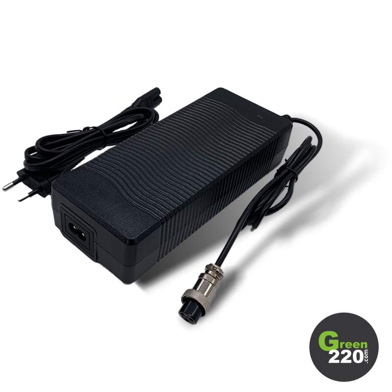 GREEN220.it » Caricabatterie da 48 V per il monopattino Wiizzee WS11