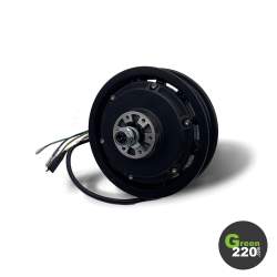 GREEN220.it » Motore per lo scooter Wiizzee WS11