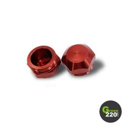 GREEN220.it » Caricabatterie di rete per scooter Inmotion V11