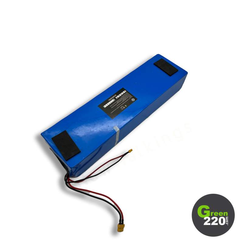 GREEN220.it » Batteria per il monopattino Wiizzee WS9 Max