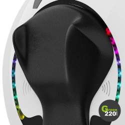 Monociclo Elettrico Kingsong KS-16S (840 Wh) l Green220.it