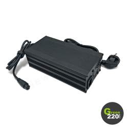 GREEN220.it  » Caricabatterie da 100 V per monociclo Kingsong KS-S19