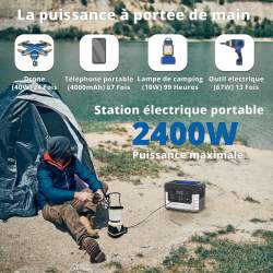 Wonder WX 2400 Stazione di alimentazione | Green220.fr