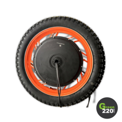 GREEN220.it » Caricabatterie di rete per scooter Inmotion V11
