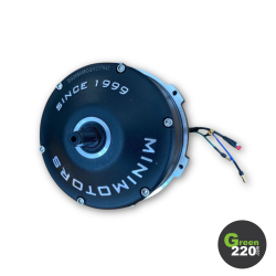 Motore a 36V - Dualtron Togo 36V