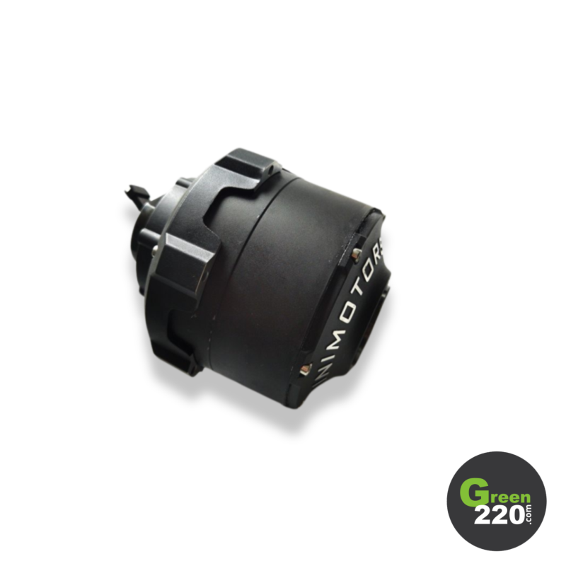 Motore posteriore - Dualtron Storm Limited