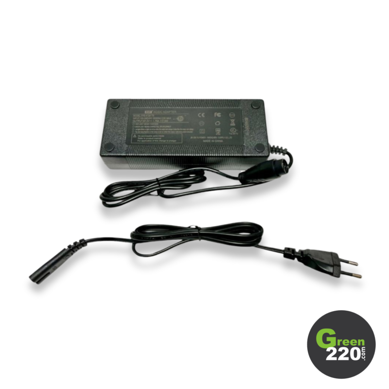 Caricabatterie da 60V - Dualtron