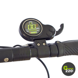 GREEN220.it » Monopattino elettrico Wiizzee WS9 Max