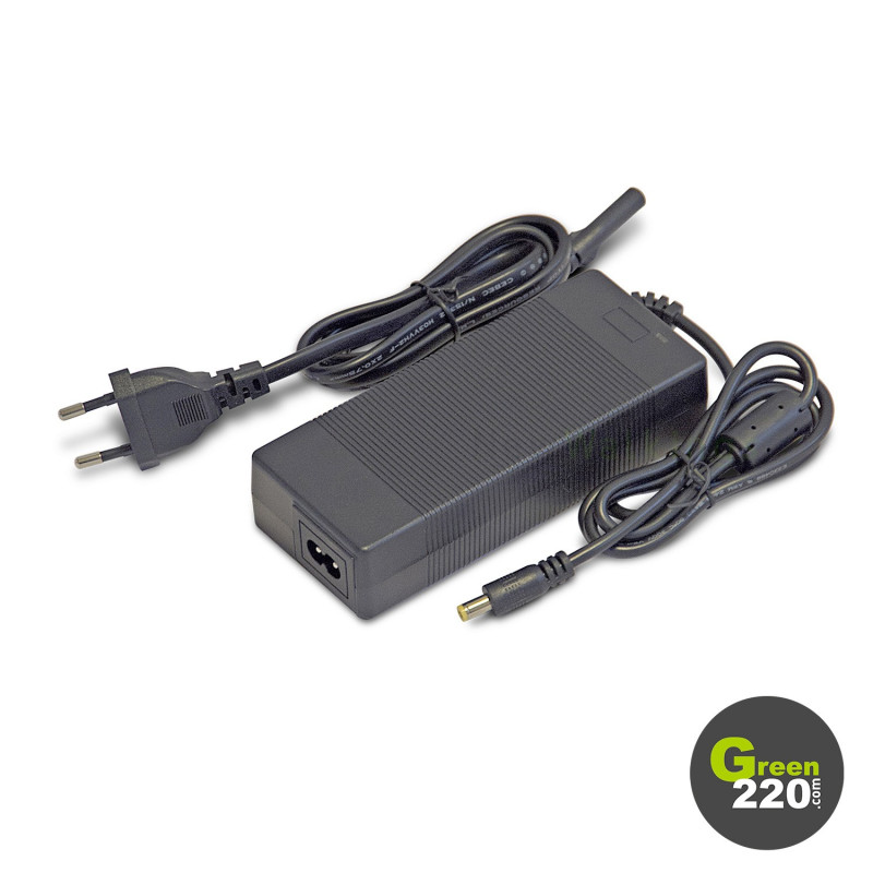 GREEN220.it » Caricabatterie per il monopattino Wiizzee WS3 / WS3 Max